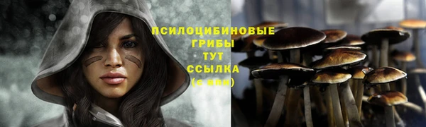 Альфа ПВП Горно-Алтайск