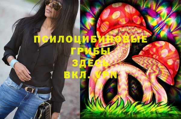 тгк Горнозаводск