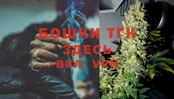 тгк Горнозаводск