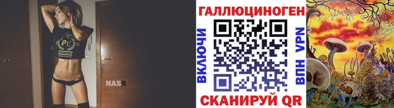 Псилоцибиновые грибы Psilocybine cubensis  Йошкар-Ола 