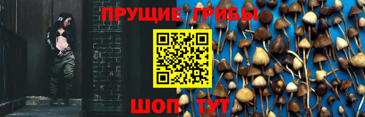 Псилоцибиновые грибы ЛСД Йошкар-Ола