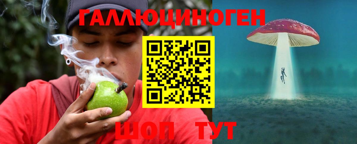 наркота  Вход с VPN  Йошкар-Ола  Галлюциногенные грибы Cubensis 